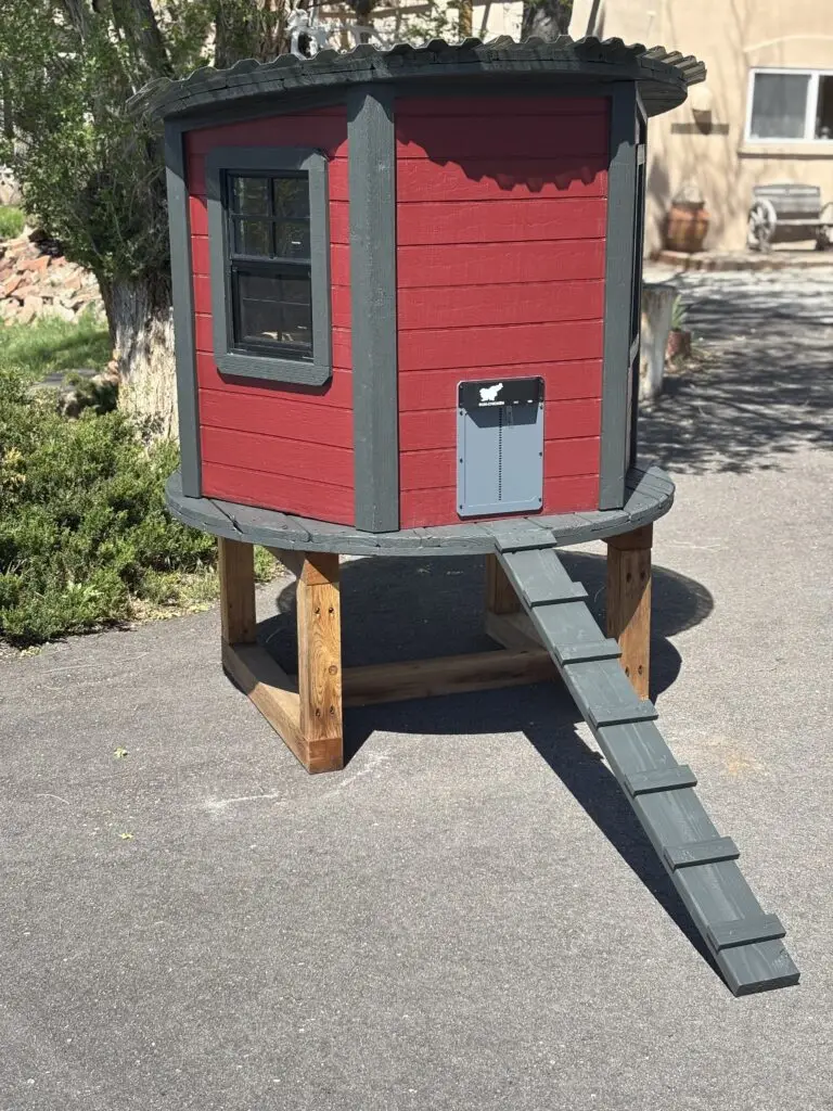 Custom Chicken Coop Building in Berthoud