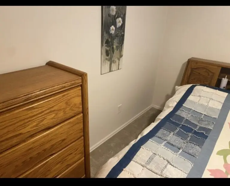 Basement Drywall and Carpet Repair in Longmont